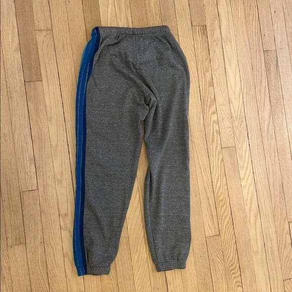 Aviator Nation Gray Track Joggers & Zip Hoodie with Blue Stripe Accents - Picture 5 of 8